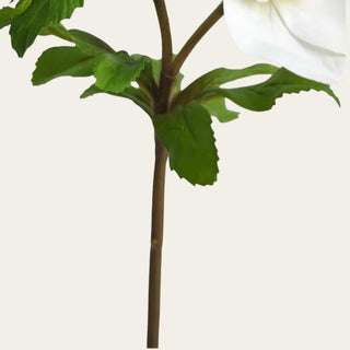 Detailed view of white hellebore rose faux stem and foliage with flexible wired construction, ideal for shaping petite vase, narrow neck, everyday, and standard opening arrangements.