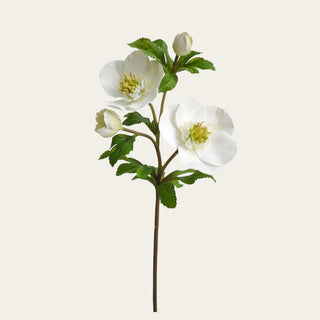 White real touch hellebore rose stem with open blooms, buds, faux foliage, and wired stem, used to add soft focal flowers and natural movement to winter, spring, and holiday arrangements.