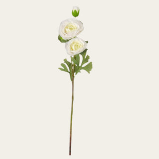 Single 25-inch White True Bloom Real Touch triple bloom ranunculus stem with layered white petals, natural foliage, and flexible wired stem for year-round floral arrangements and elegant bridal styling because the soft white tone blends beautifully with seasonal greenery and transitional palettes.