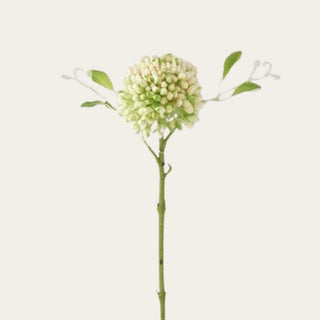 Zoomed in view of Cream and Green Real Touch Sedum Stem featuring realistic clustered buds with soft cream and green coloring, natural chalk-like texture, and flexible stem construction. This versatile texture and filler stem pairs beautifully with hydrangeas, peonies, roses, gladiolus, and seasonal greenery while adding fullness, movement, and layered dimension to spring, summer, fall, winter, and holiday floral arrangements.