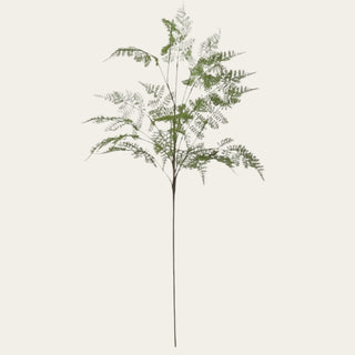 Single 46-inch real touch green lace fern stem with airy detailed fronds and a flexible wired stem for adding height, softness, and movement to floral arrangements year-round because the natural green tone transitions easily across seasonal styling.